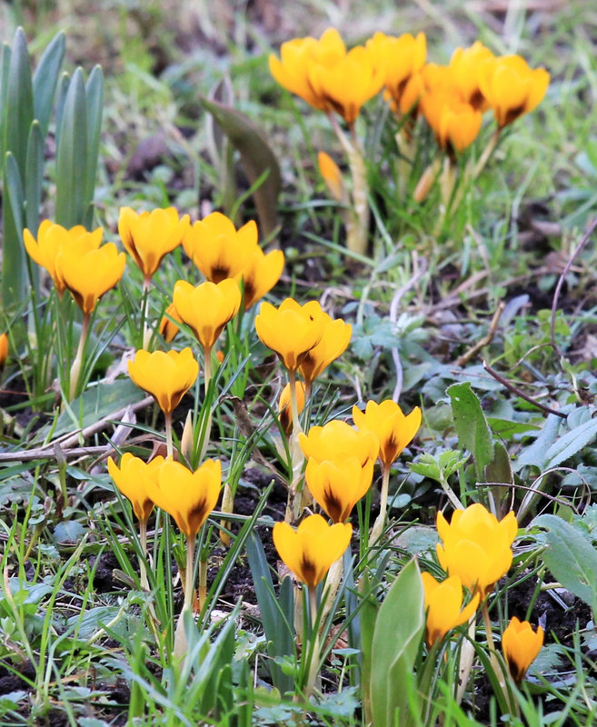 Frühling