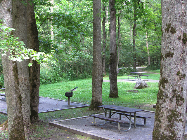 Picnic Area