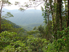 DSC04085