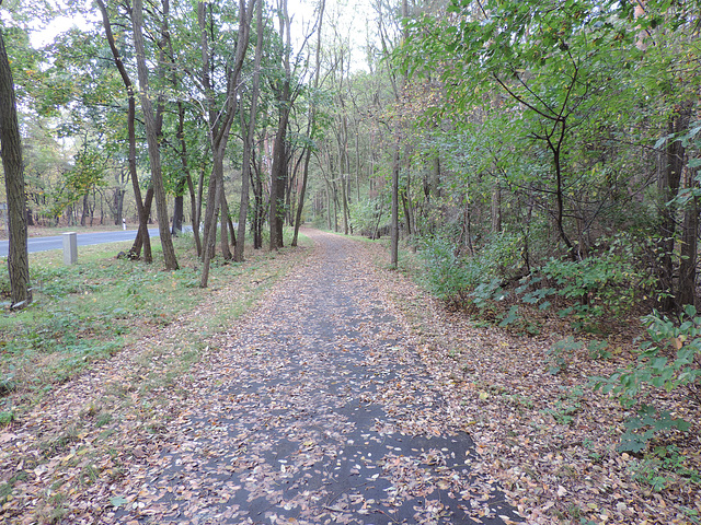 Radweg Rehagen - Kummersdorf Ort