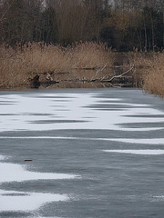 Winterwelt ...