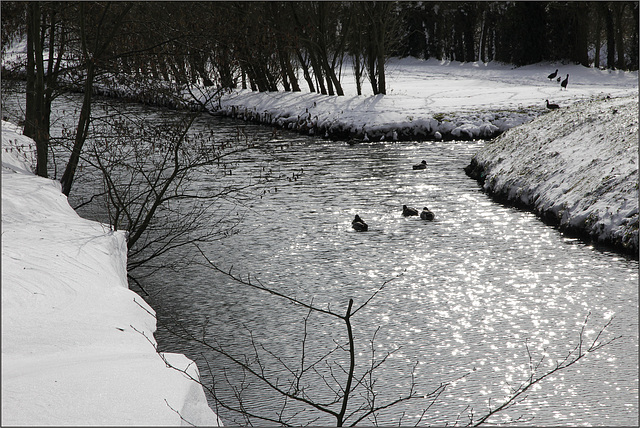 Coup de froid