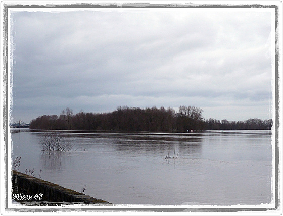 LA LOIRE