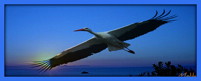 Bonne et Agreable fin de soiree..!