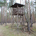 Hochstand im Kiefernwald