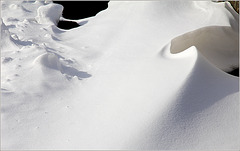 Vous avez dit blizzard