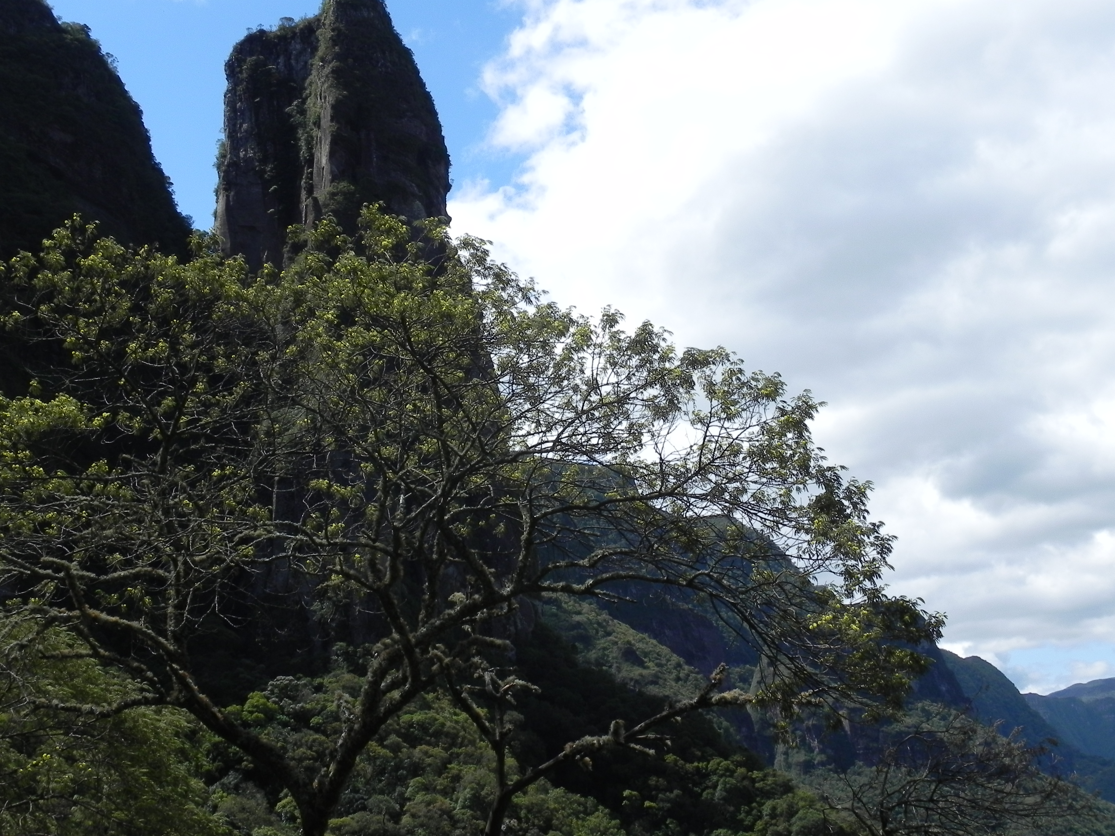 DSCN0001-5