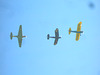 DSCN5334