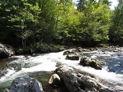 Little Pigeon River - 2