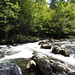 Little Pigeon River - 2