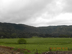DSCN3602