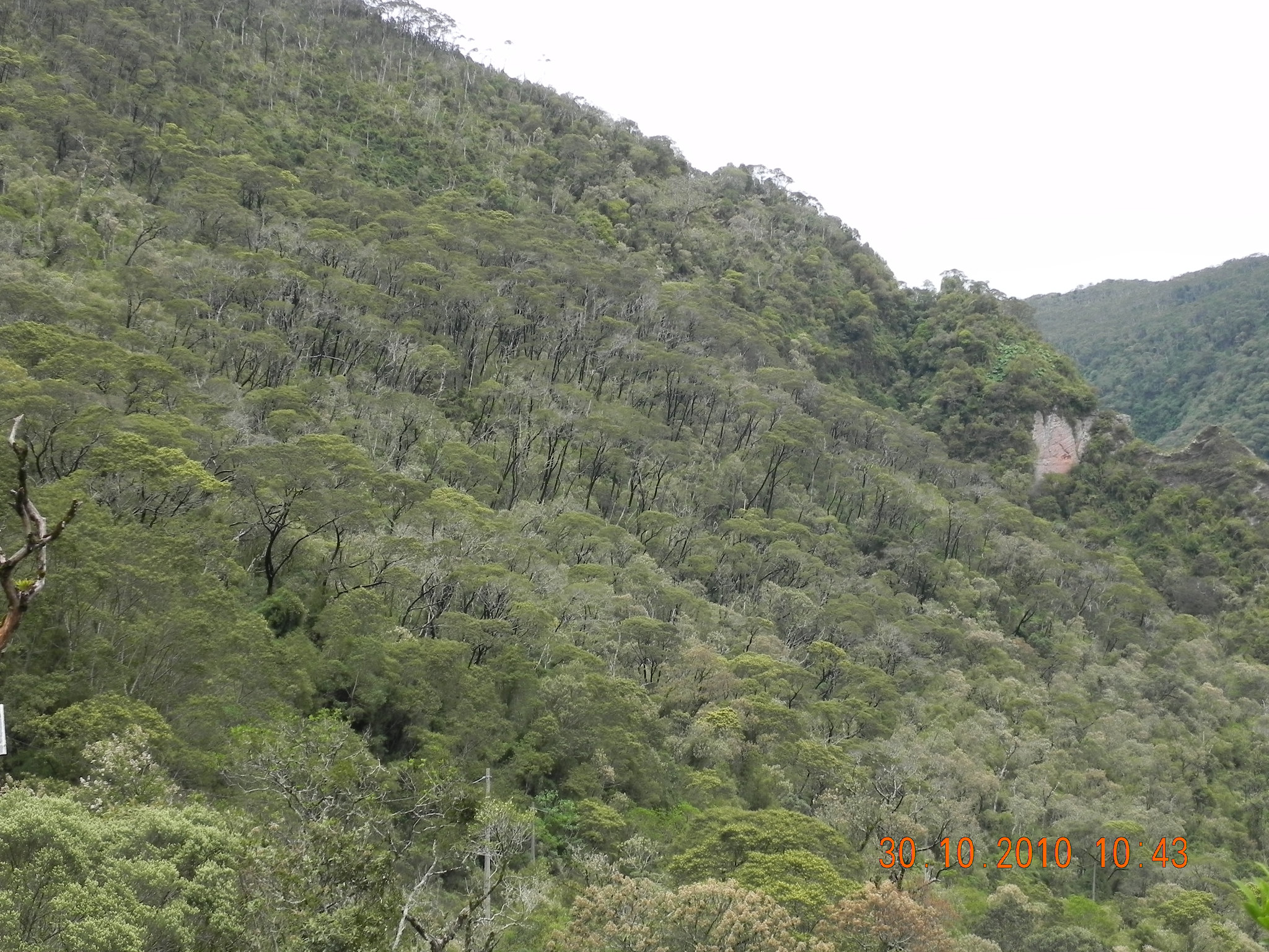 DSCN3643