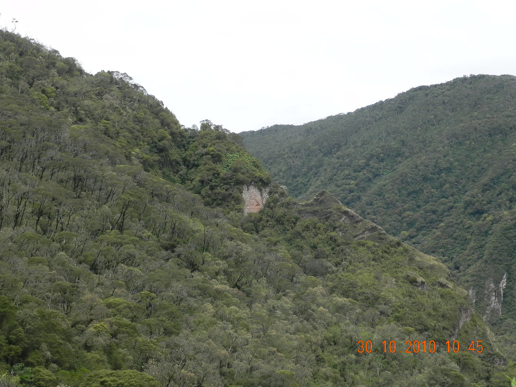 DSCN3646