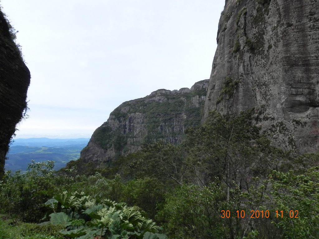 DSCN3671