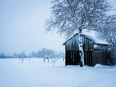 winterliches