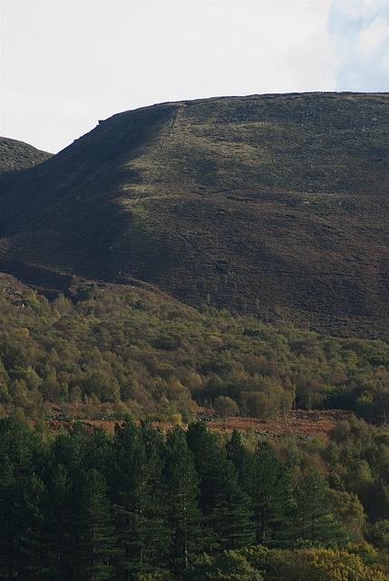 Wildboar Clough Longdendale