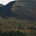 Wildboar Clough Longdendale