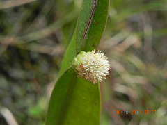 DSCN3712