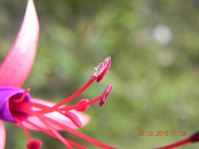 DSCN3742