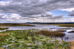 Spey Bay