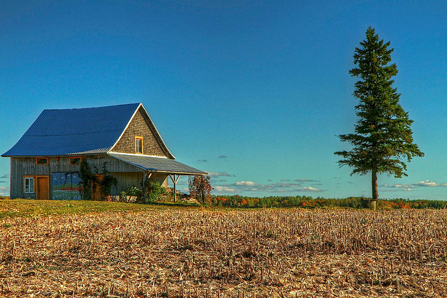 La petite maison dans la prairie