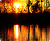 Bon WEEK END à tous