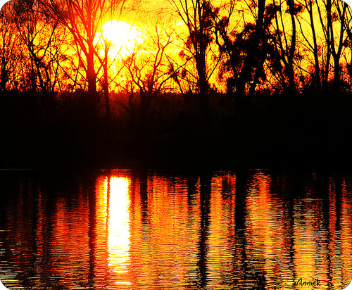 Bon WEEK END à tous