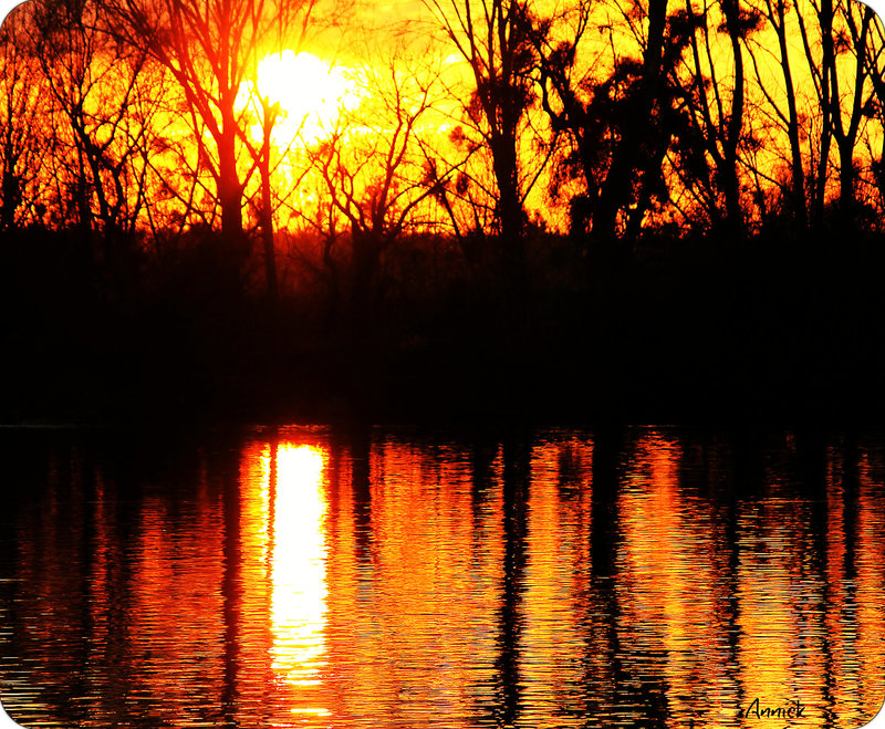 Bon WEEK END à tous