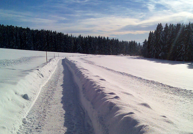 Winter im Schwarzwald