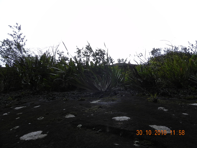 DSCN3812