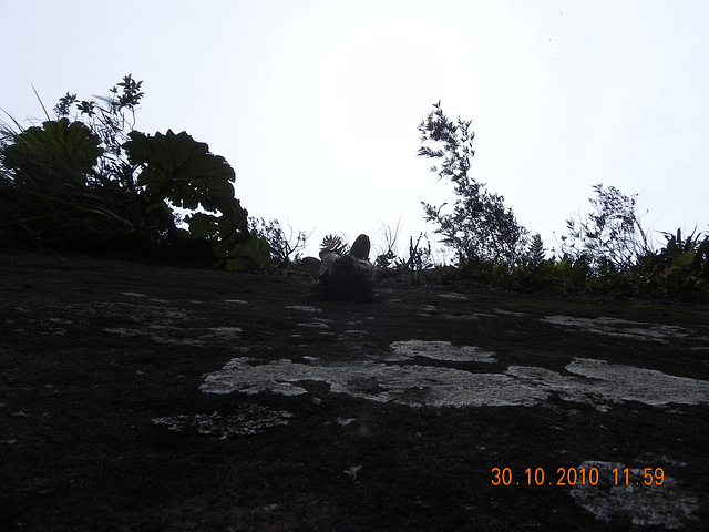 DSCN3815