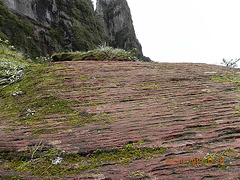 DSCN3830