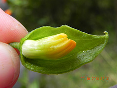 DSCN3859
