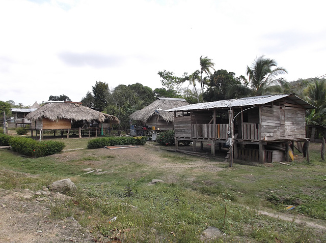 Maisons Wounaans / Wounaans houses.