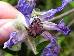 DSCN3874
