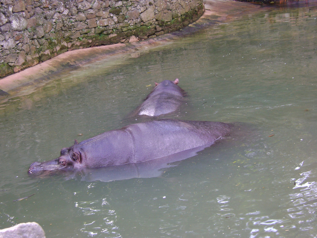 DSC06128
