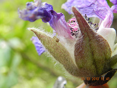 DSCN3879