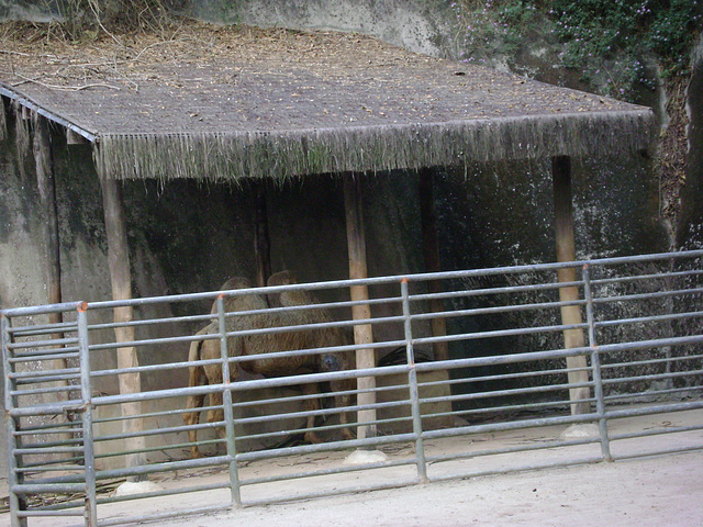 DSC06149