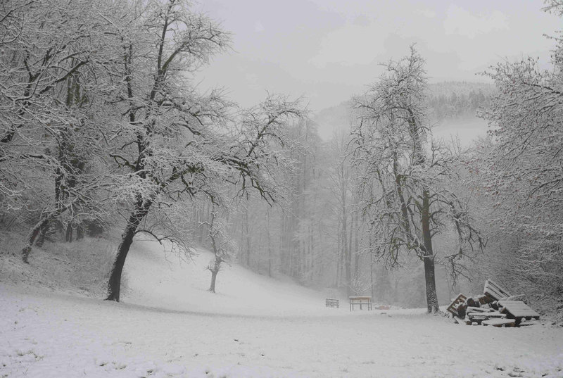 mit Nebel Ruhe