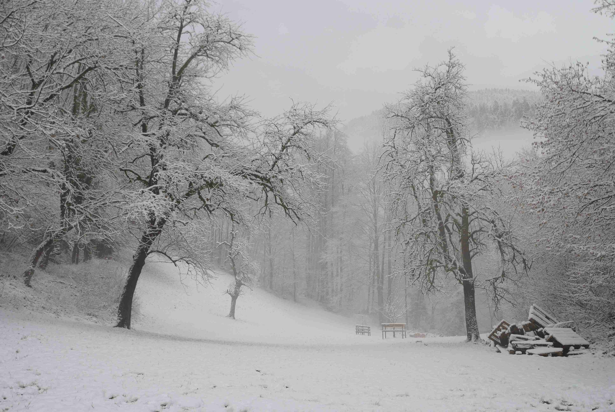 mit Nebel Ruhe