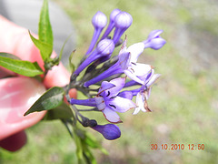 DSCN3907