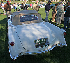 1955 Corvette (9388)