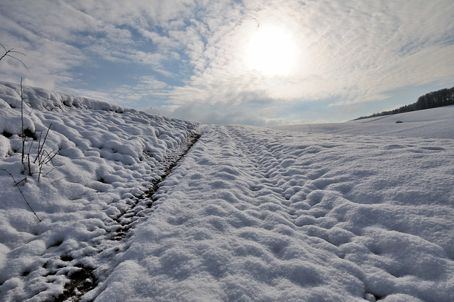 Schneeweg - 130209