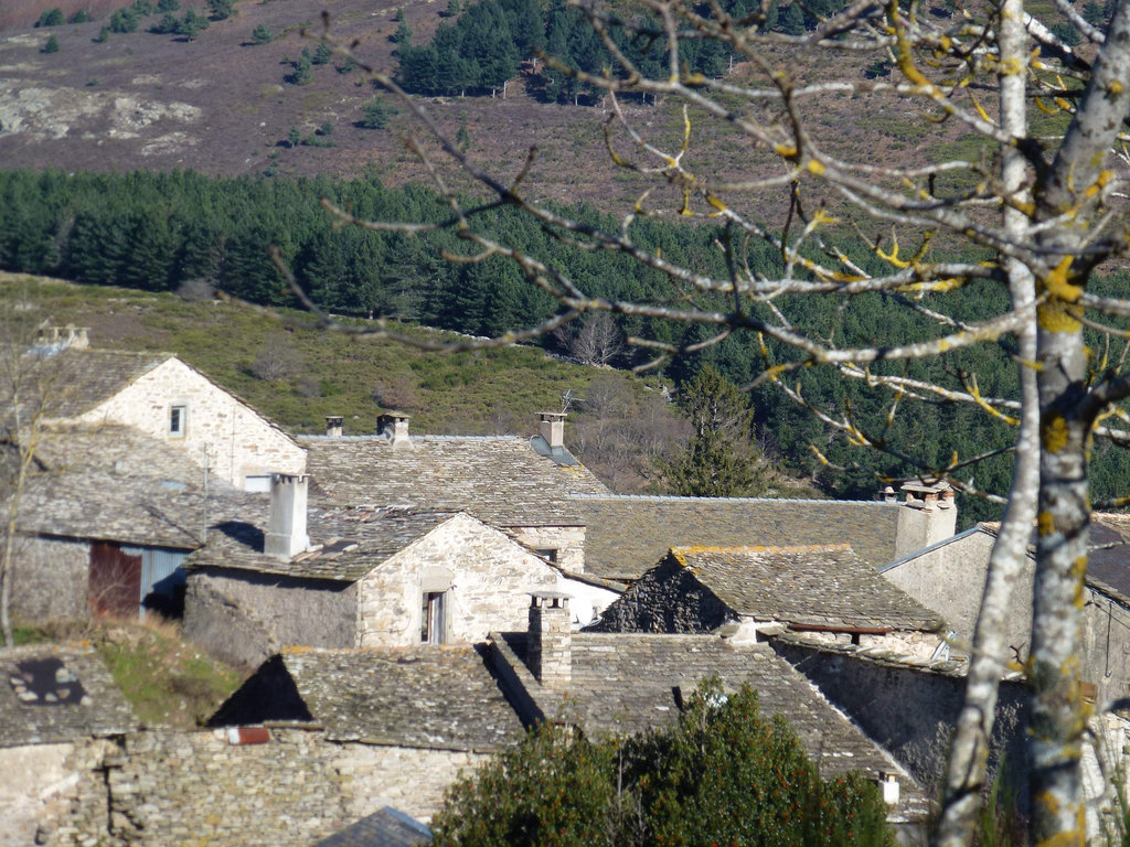 20130108 Fee Caroux (3)