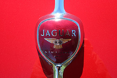1955 Jaguar XK140M (9484)