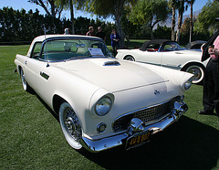 1955 Thunderbird (9367)