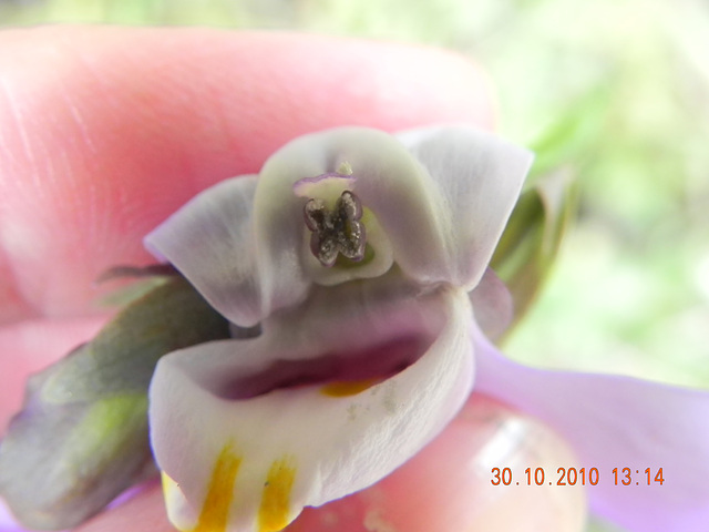 DSCN3963