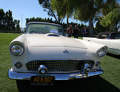 1955 Thunderbird (9368)