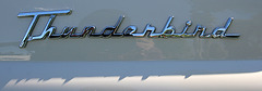 1955 Thunderbird (9371)