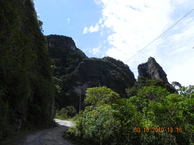 DSCN3971